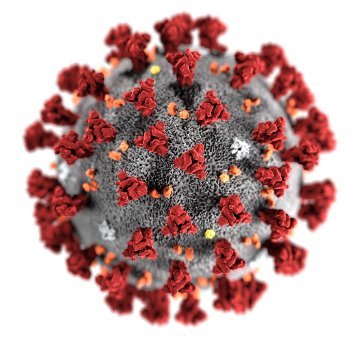 Skilaboð frá alþjóðaforseta: CONVENTION UPDATE: Breaking the Silence