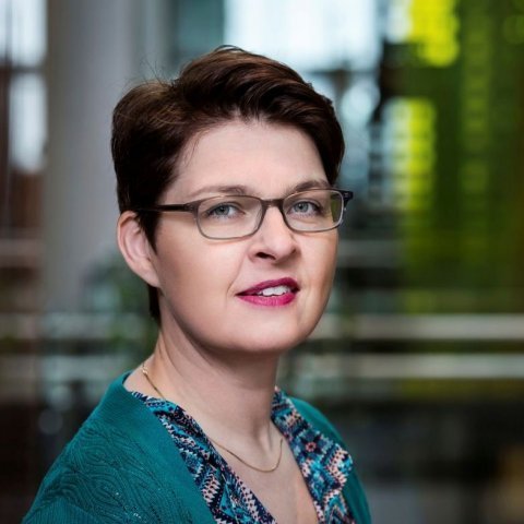 Dr. Kolbrún Pálsdóttir í Lambdadeild með grein í Bulletin Journal