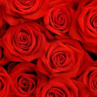 Af starfi zetadeildar í haustbyrjun 2018.